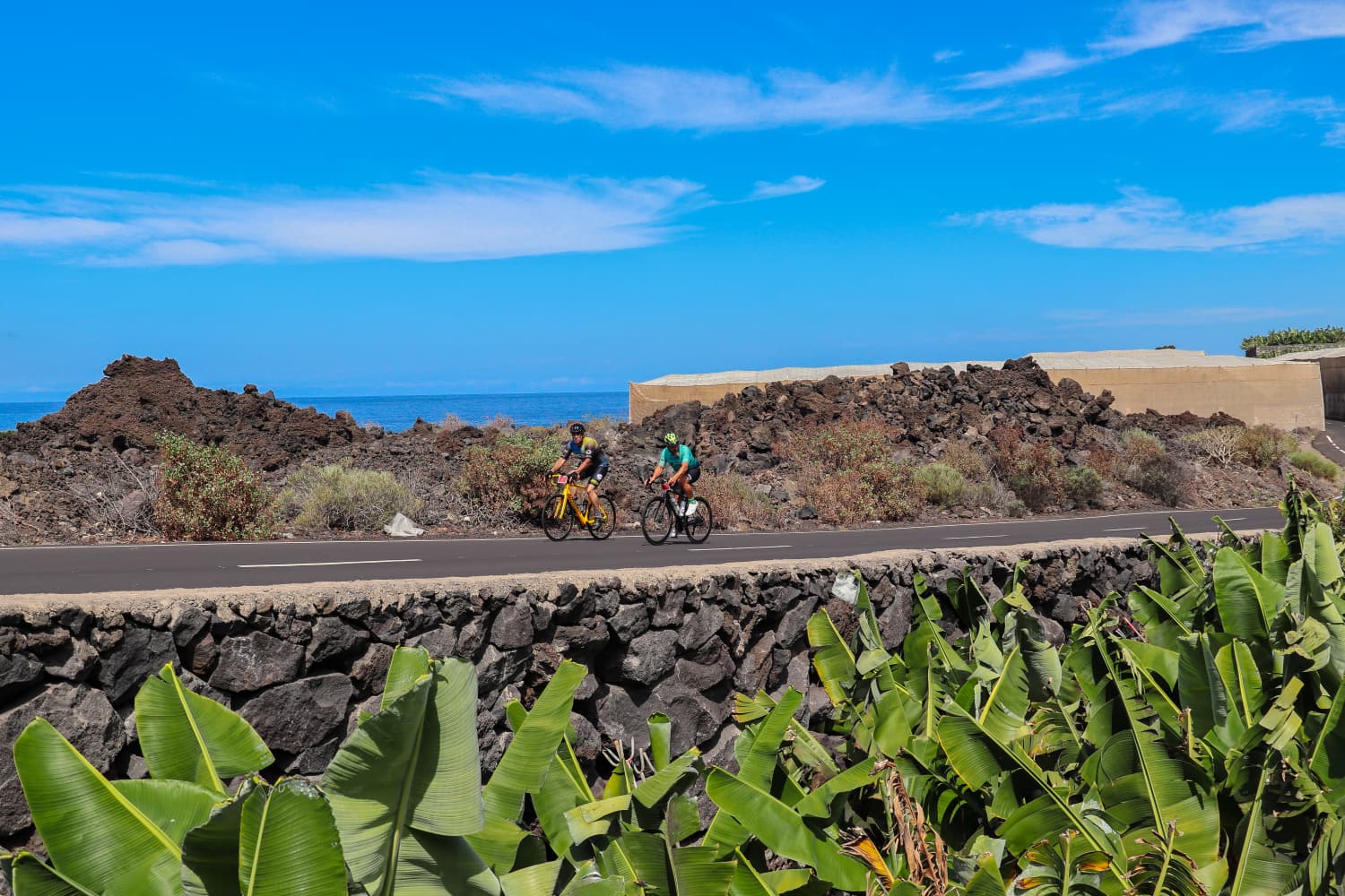 TENERIFE + LA PALMA tour